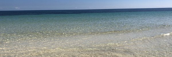 AAncheita Profile Banner