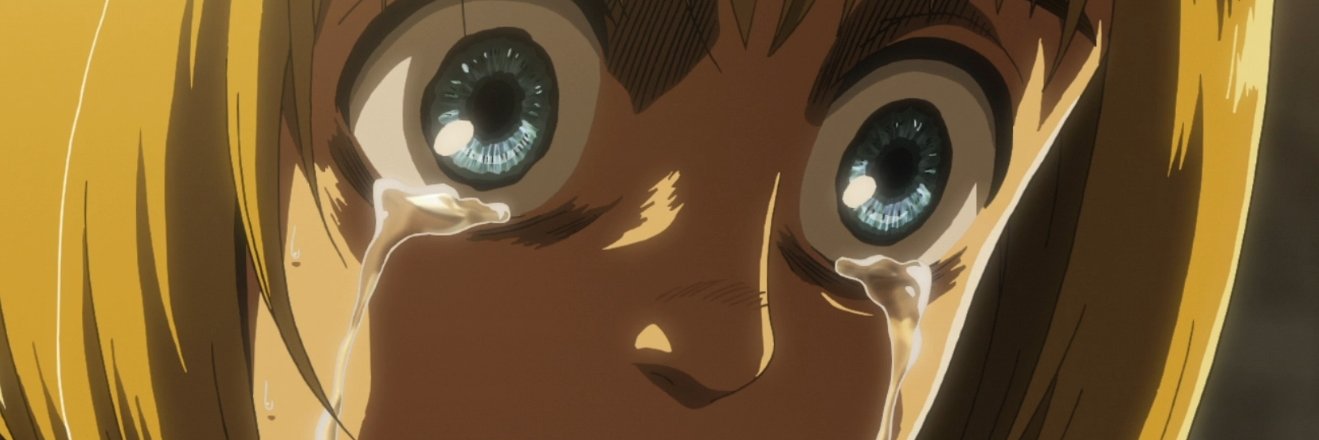 tripleXmuffin's profile banner image