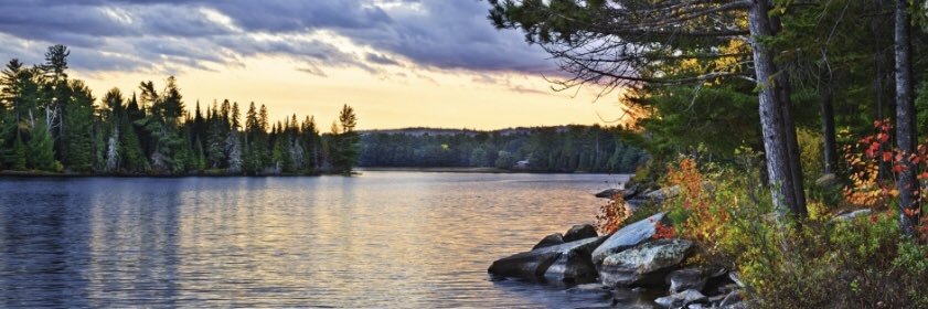 canmoose's profile banner image