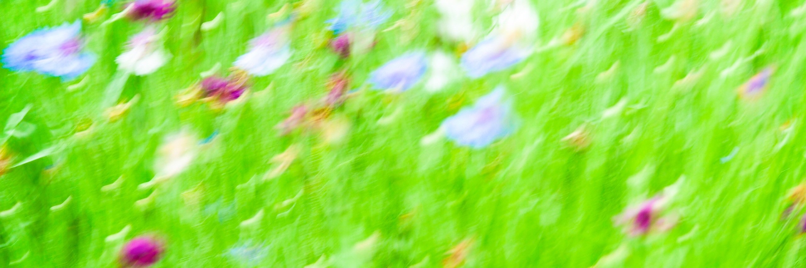 anotherlounge's profile banner image