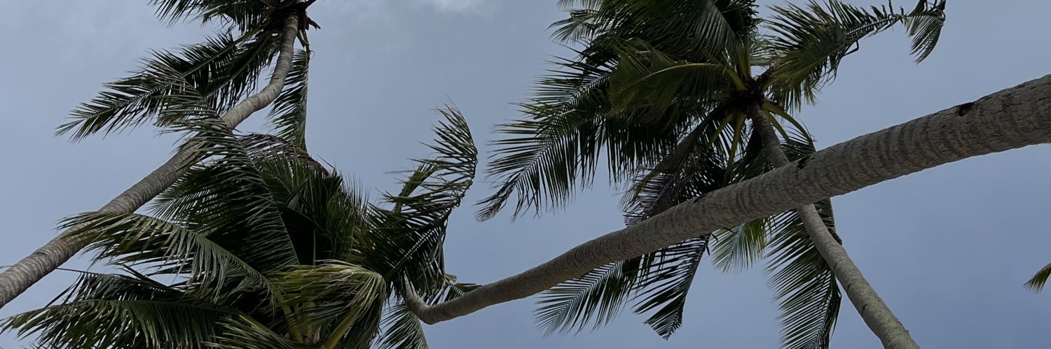 zaaay banner