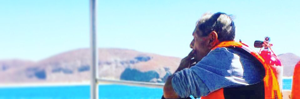 rosanoemid's profile banner image