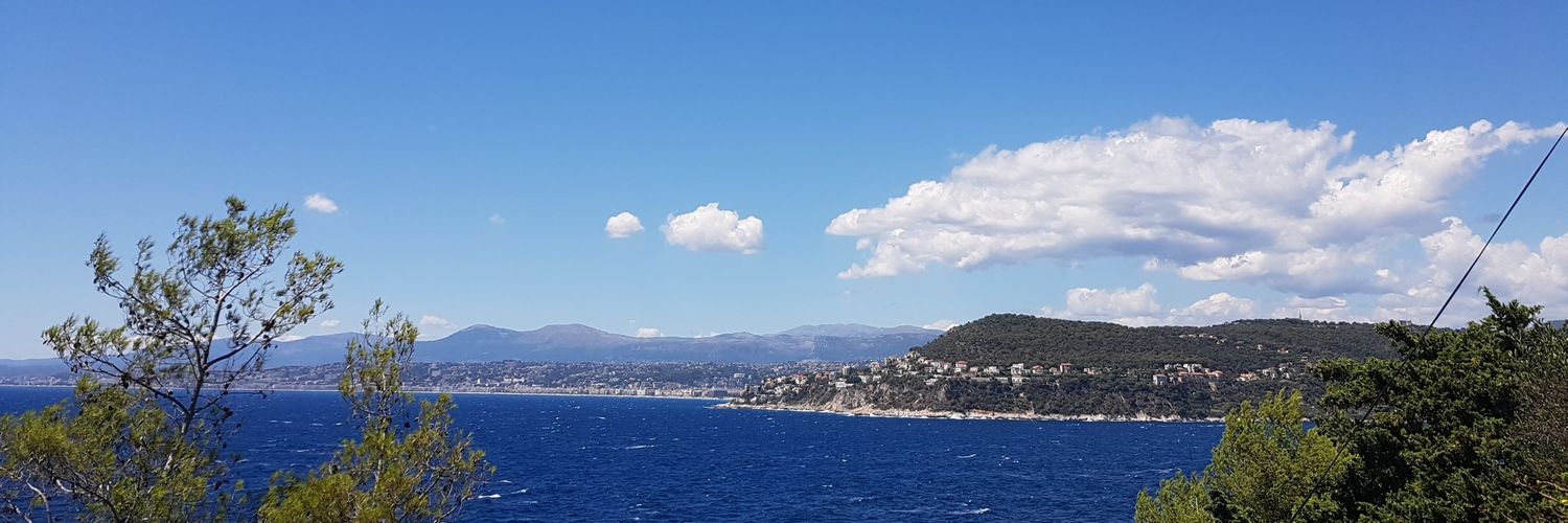 Gerard Peliks banner