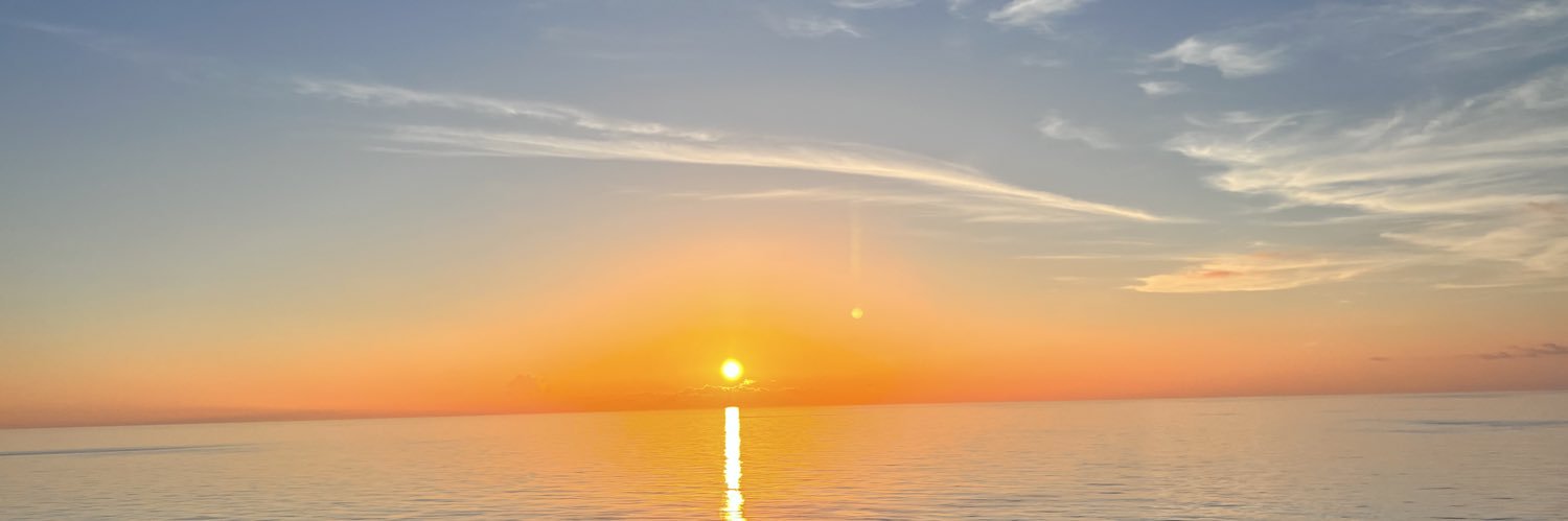 themeganreanne's profile banner image