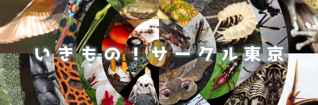 tmunathis's profile banner image