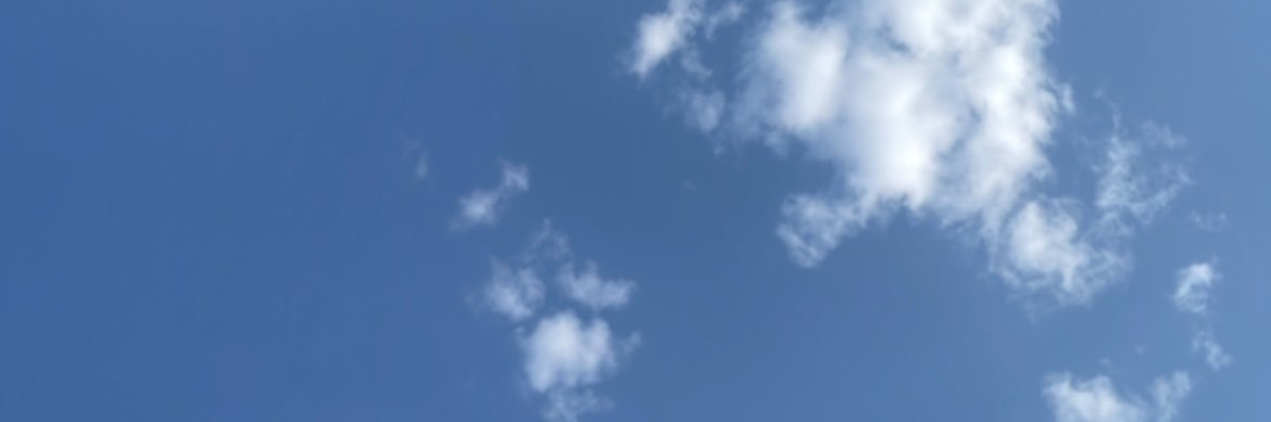 pilarsalgado18's profile banner image