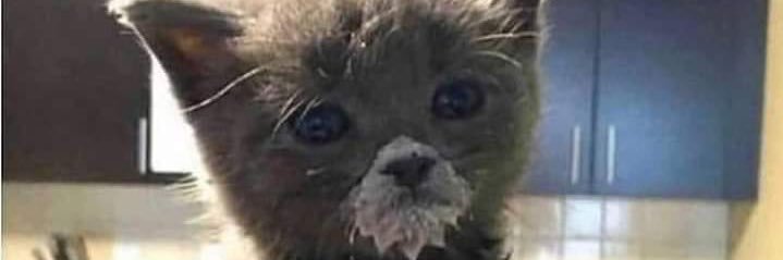 _MeggyyD's profile banner image