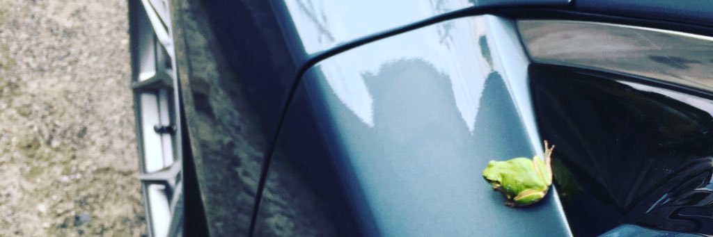 0817Naoki's profile banner image