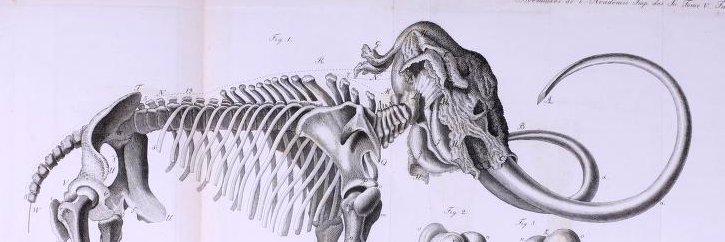 archymck's profile banner image