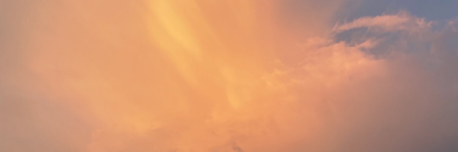 BiuBiuTickets's profile banner image