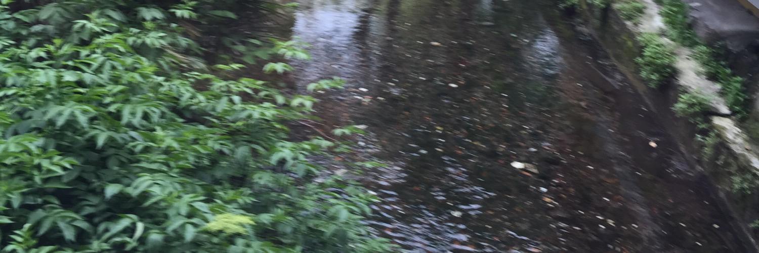 Alberto Fedel banner