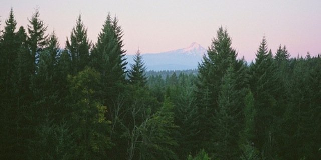 KarlieMoyle's profile banner image