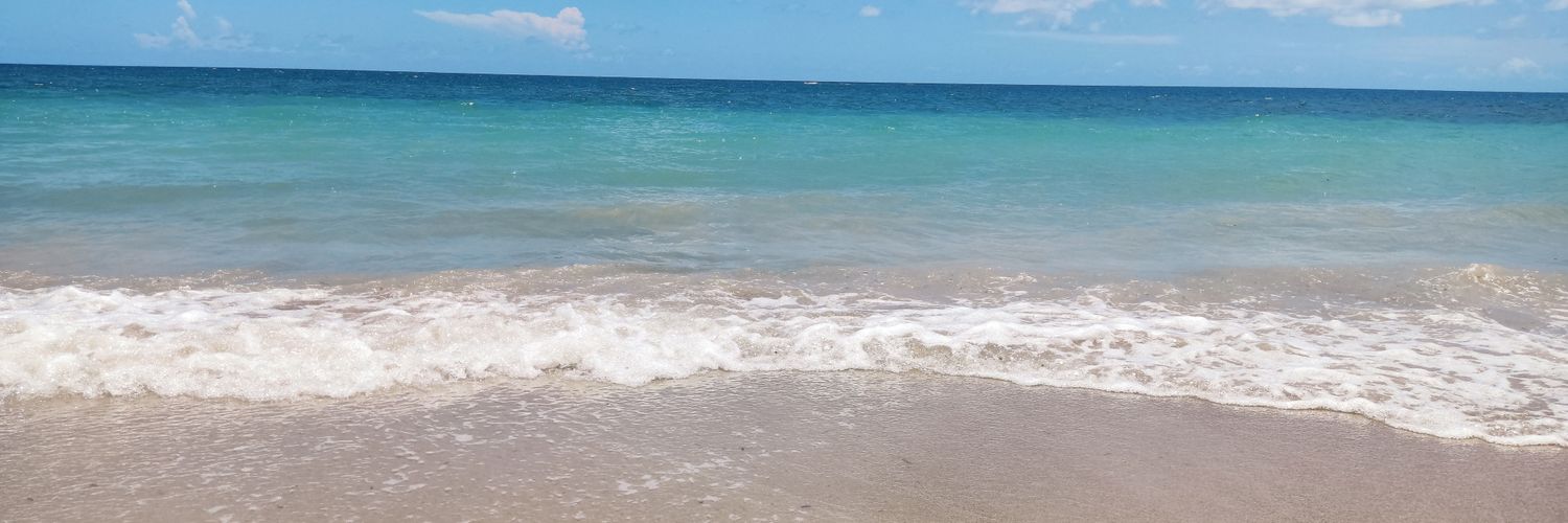 LaffehTaffeh's profile banner image