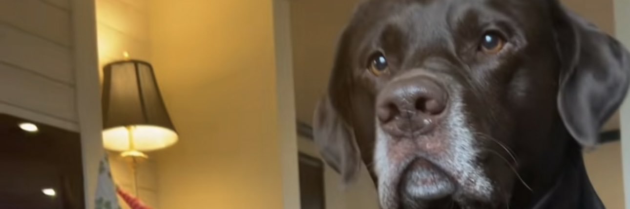 Karter banner