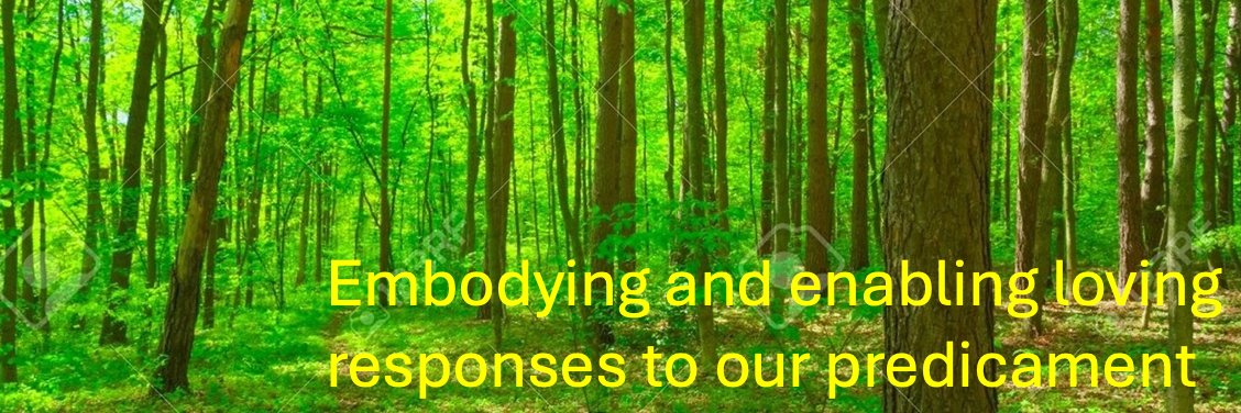 Deep Adaptation Forum banner