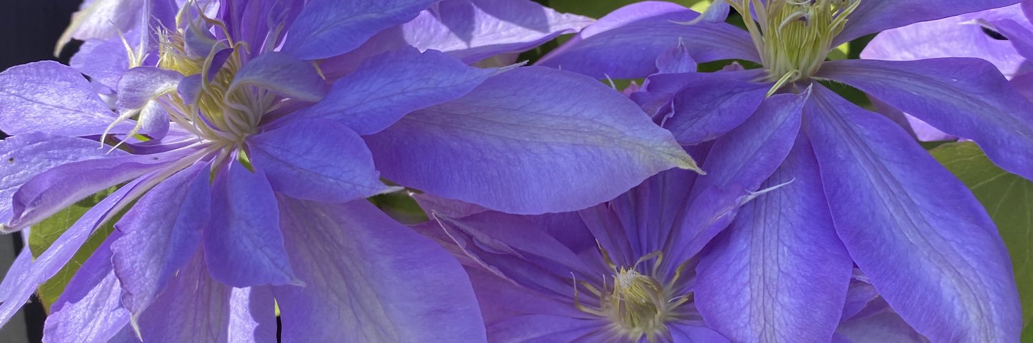 george__coll's profile banner image