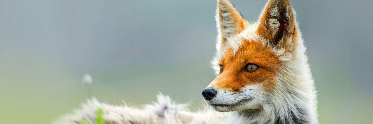 JayKamikyo's profile banner image