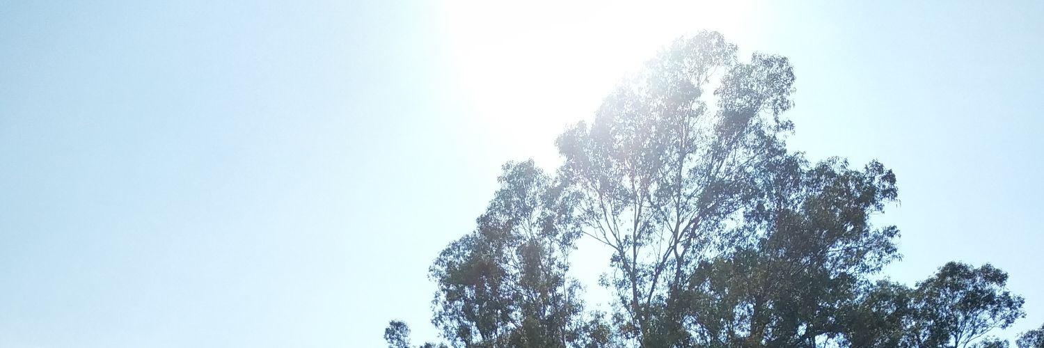 danielcosta's profile banner image