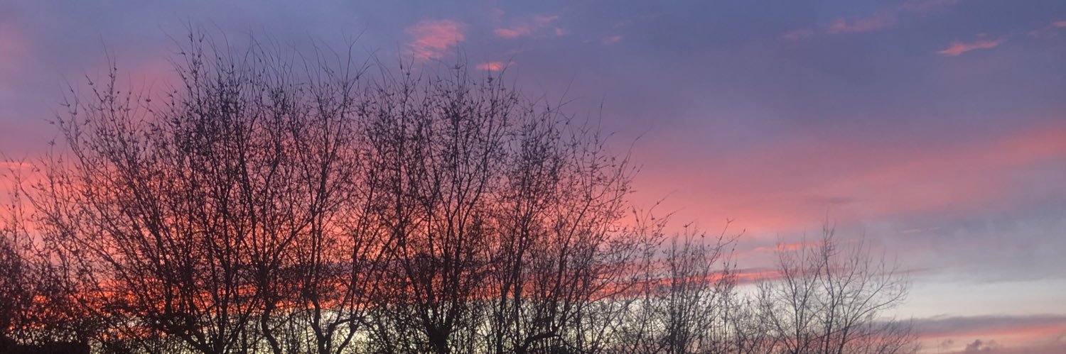 palomarh_99's profile banner image