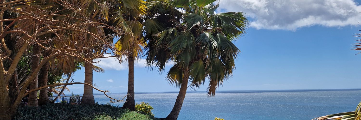 Феята на пастета banner