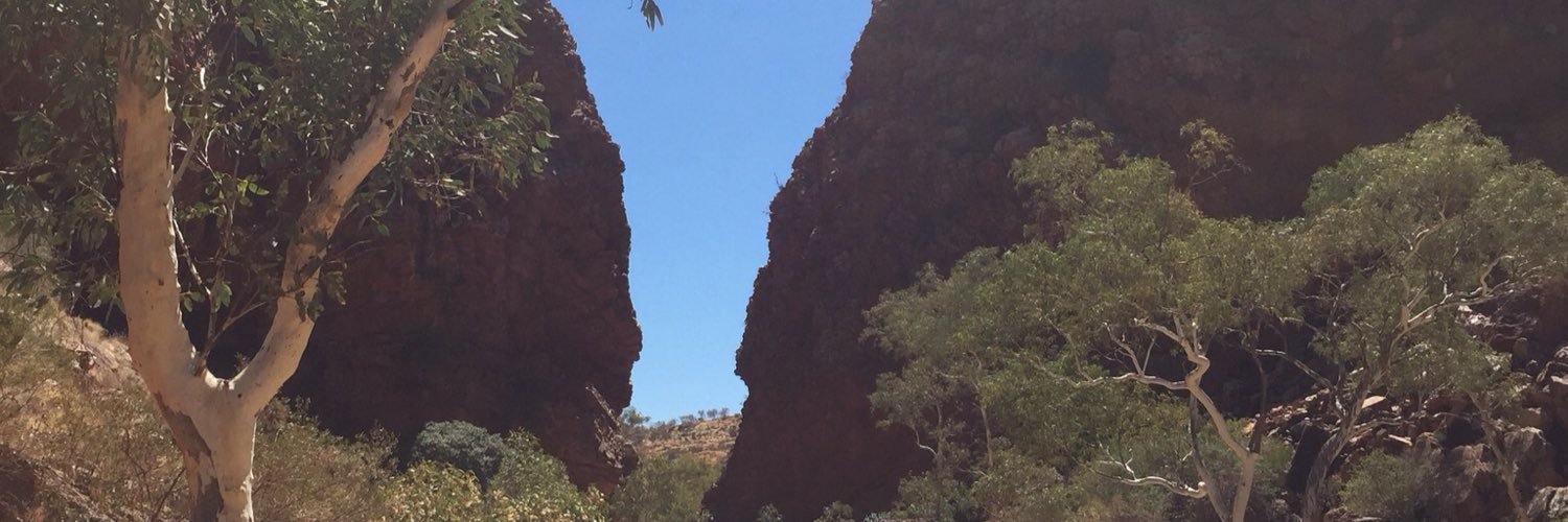 teralba2284's profile banner image