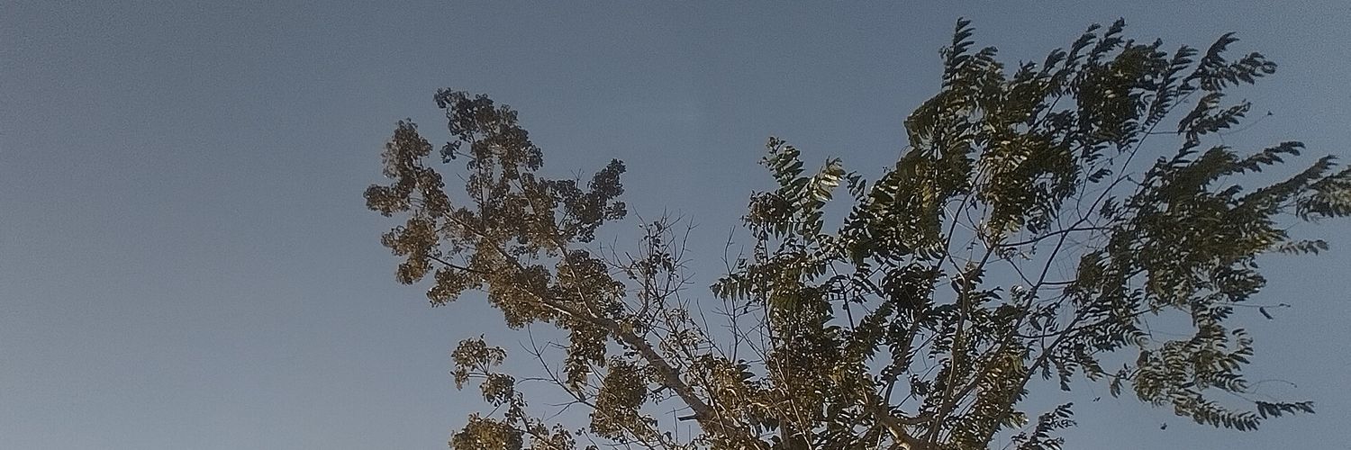 Ilhami Rifki banner