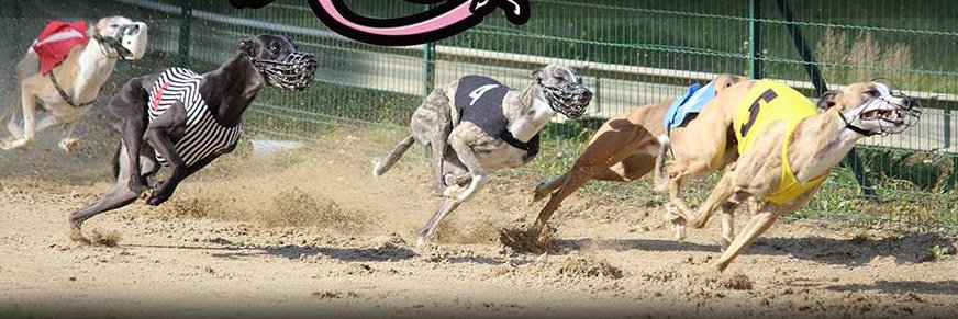 Xpl00ziV⚡NAFO⚡🇫🇷🇪🇺🛡️🇺🇦🛡️💣✈️ banner