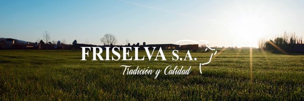 FriselvaSA Profile Banner