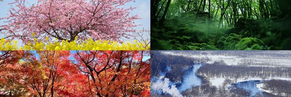 LocalMofa Profile Banner