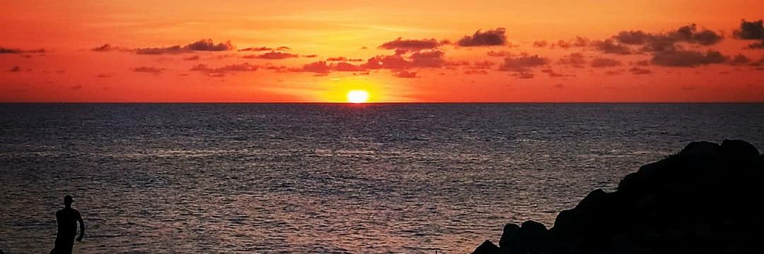 Raylí Luján banner