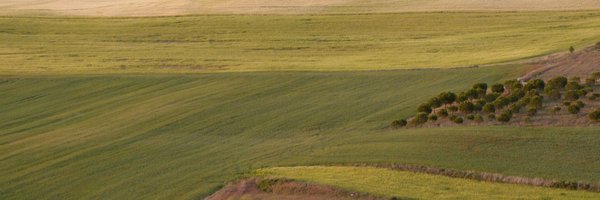 MonsArguello Profile Banner