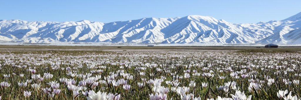 Yüksekova Belediyesi banner