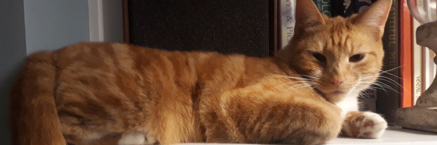 steveifyoulike's profile banner image