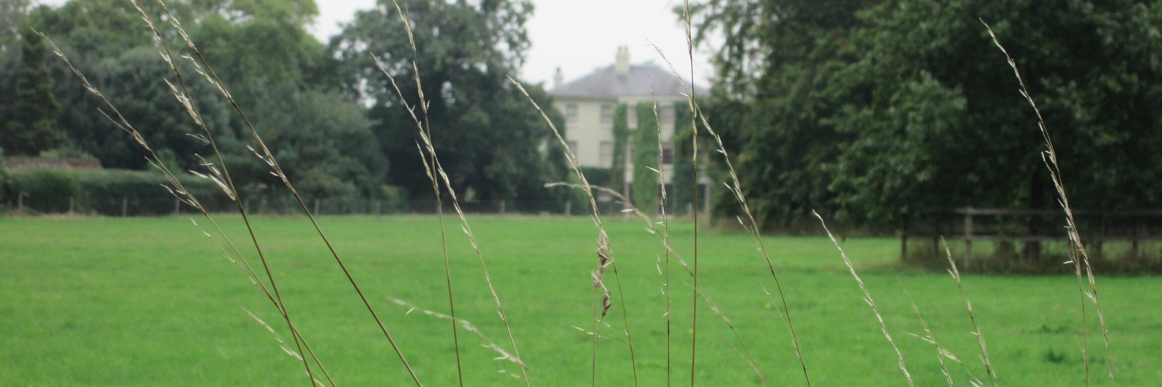 GEVOteach's profile banner image