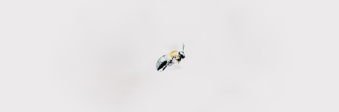 LHewittPhoto's profile banner image