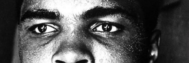 Jamie Collina banner