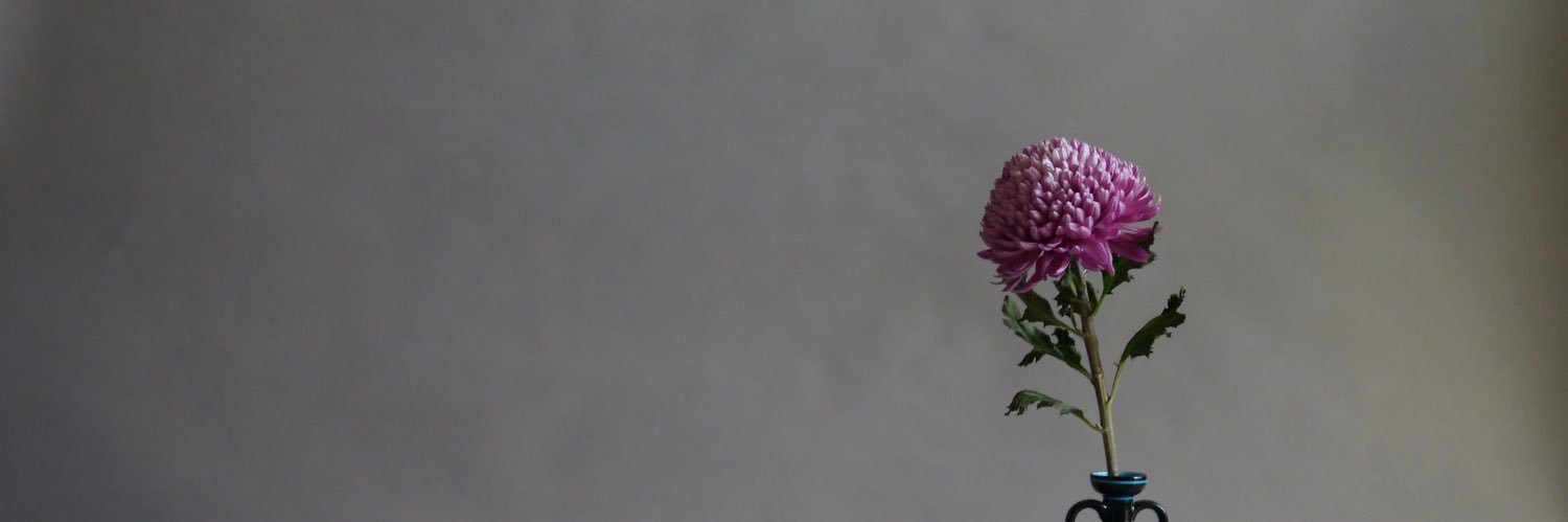 AKANEANDOO's profile banner image