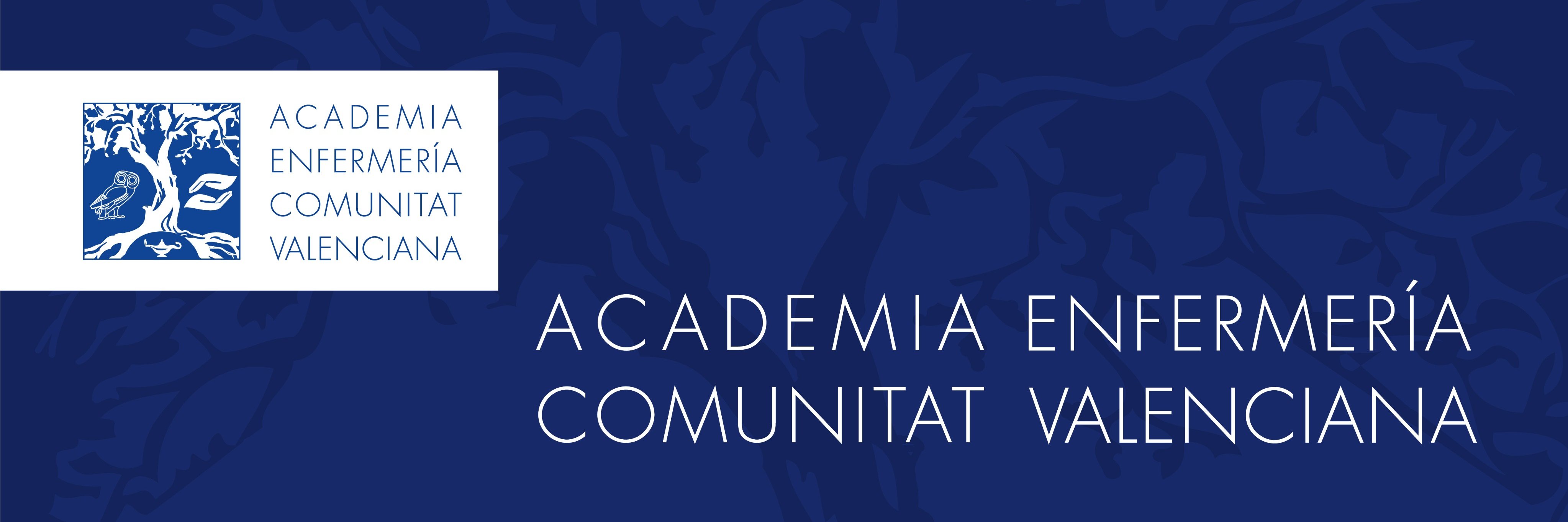 Academia de Enfermería de la Comunitat Valenciana banner