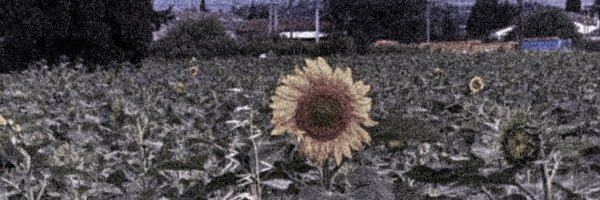 emmalouise110 Profile Banner