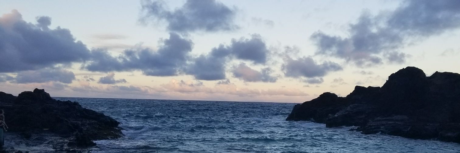 MTBoggs's profile banner image