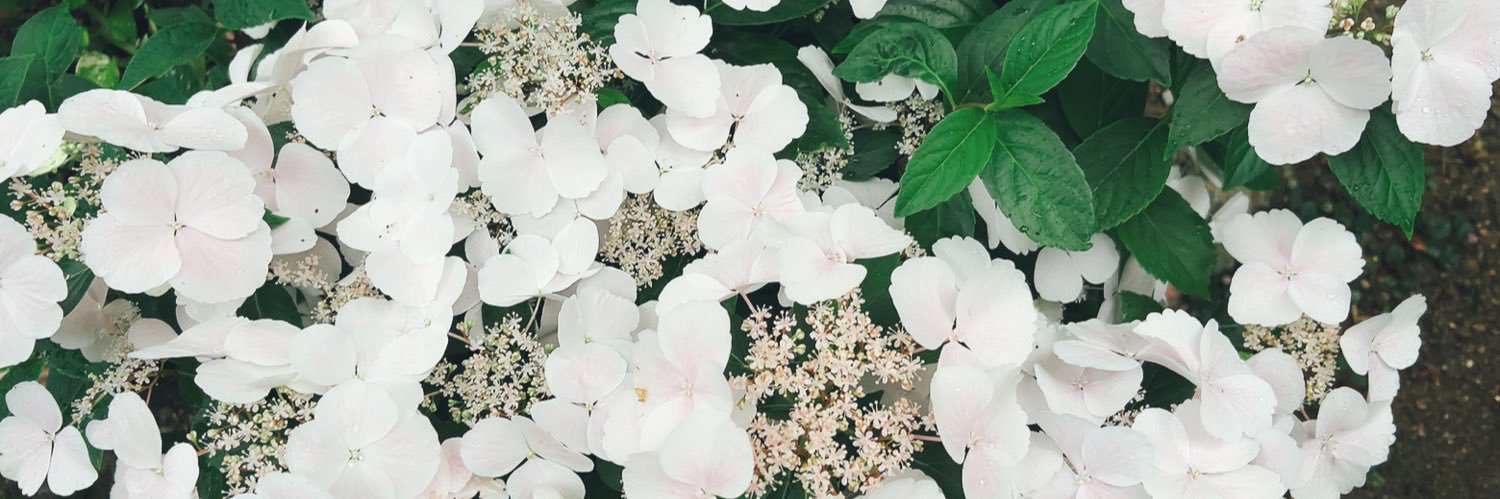 りん@取引垢 banner