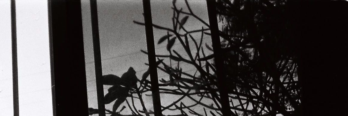 WnoDays's profile banner image