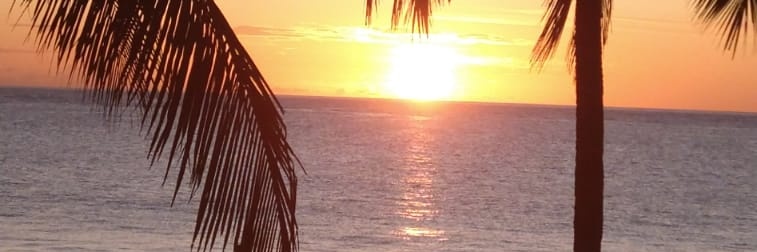 cidacajal's profile banner image