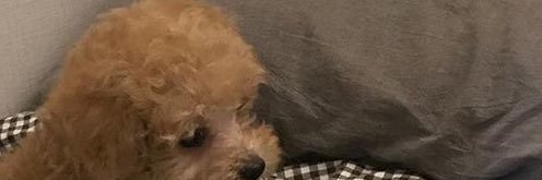 ☼ banner