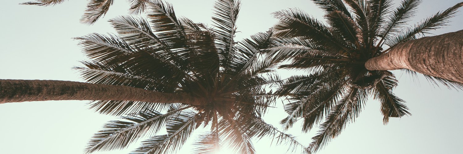 alohaloca's profile banner image