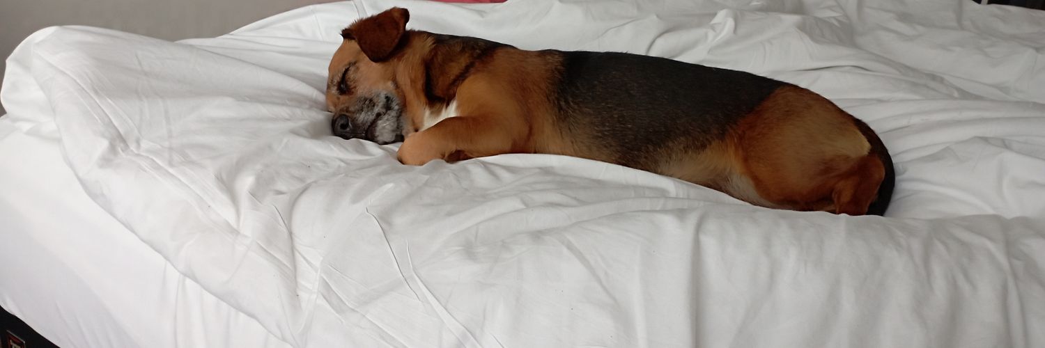 Steffen aus Grambow banner