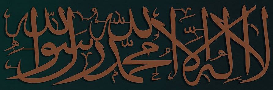 mtayyiporhan51's profile banner image