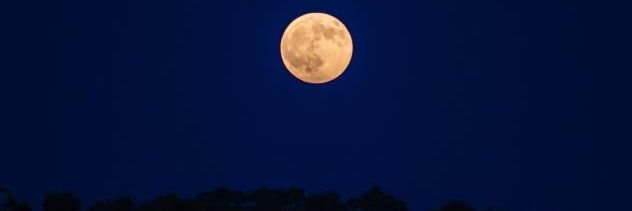 blumoon1980's profile banner image
