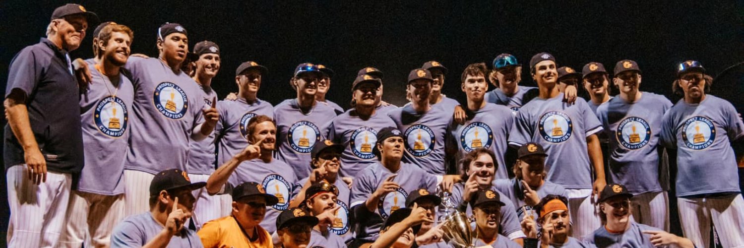 Pistol Shrimp Baseball's banner