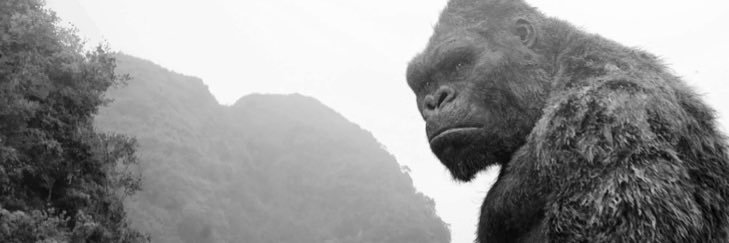 𝓓.𝓚.𝓑 banner